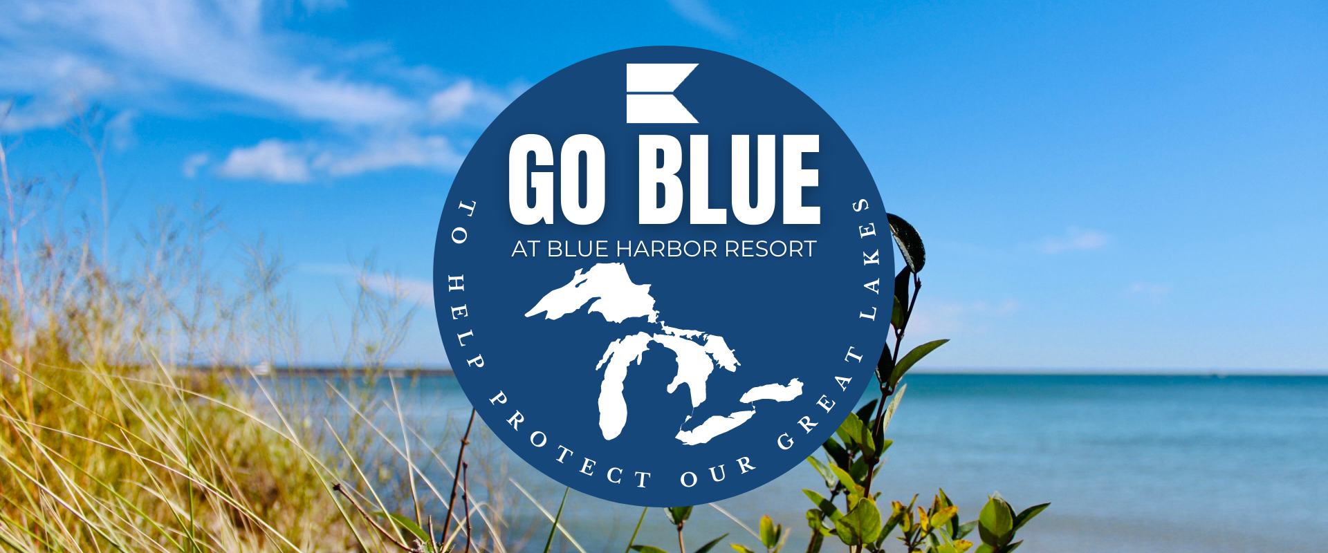 GO BLUE TO HELP PROTECT THE GREAT LAKES WEBSITE FEATURE v2