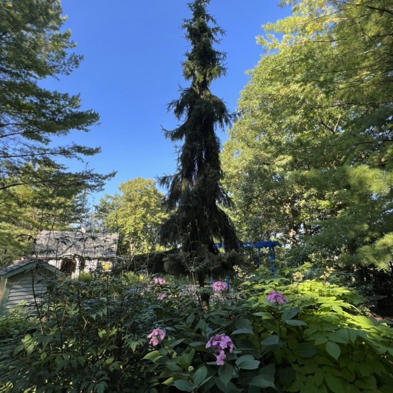 STORYBOOK TREE AT BOOKWORM GARDENS