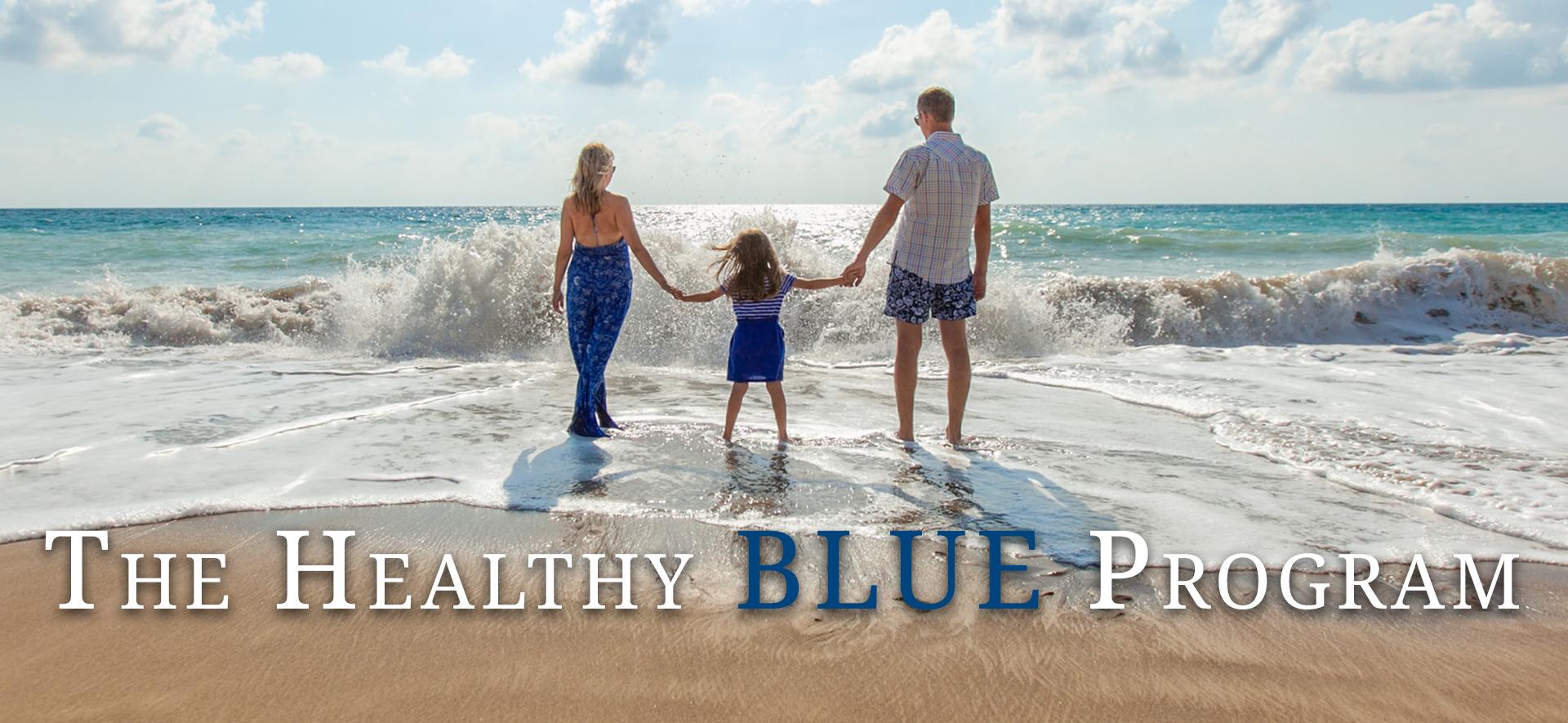 TheHealthyBlueProgram Header v2